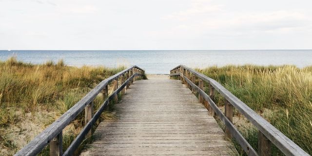 Strand an der Ostsee mit Dünen