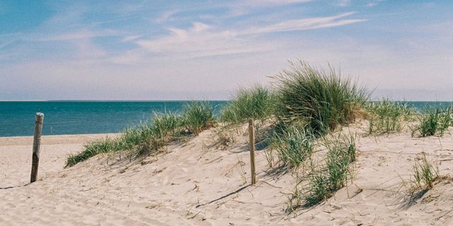 Blick auf das Meer und die Dünen von Dänemark