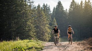 Ein Paar das zusammen im Wald Fahrrad fährt