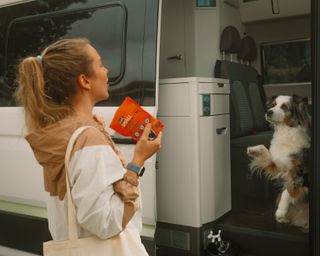 Hund gibt Pfötchen