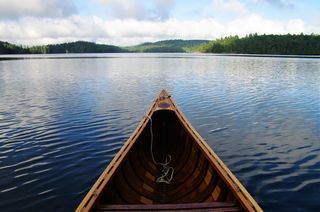 Ein Holzkanu im See umgeben von Bäumen.