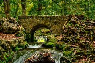 Brücke im Wald