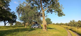 Campervan auf Streuobstwiese