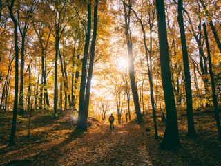 Ein Wanderer im herbstlichen Wald beim Urlaub im Oktober.