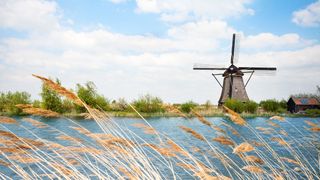 Mill in the reeds in South Holland