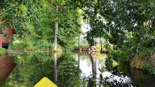 Spitze eines Kanus in der Spree beim Camping im Spreewald