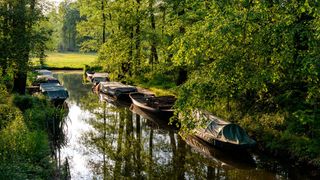 Campingplaetze Spreewald: Schiffe in der Abendsonne im Spreewald