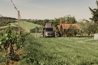 Natur-Campingplatz "Camp Le Selvole" in der Toskana