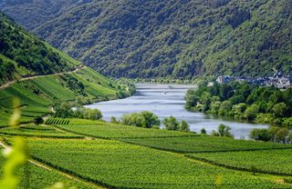 Die Mosel umgeben von Bergen und Feldern.