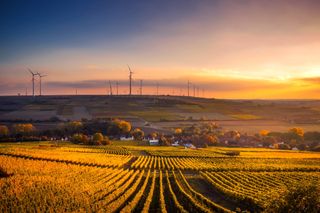 Sonnenuntergang über einem Feld im Sommer