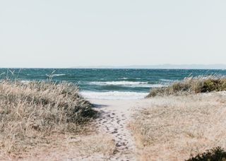 Blick auf das Meer und die Dünen von Dänemark.