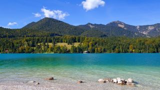 Shore of the Walchensee with turquoise blue water