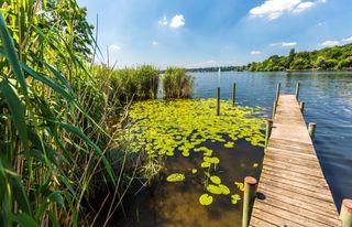 Steg im Wannsee